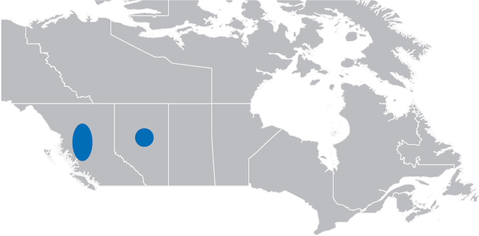 graphic_map_canada.jpg